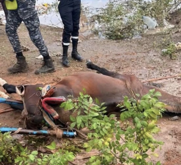 Drame de l'hivernage à Latmingué : Un homme meurt noyé après une chute de sa charrette