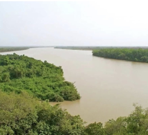 Fleuve Gambie : le niveau d’eau reste sous contrôle, la vigilance verte maintenue dans tout le bassin.