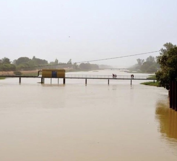 Podor : hausse constante du niveau des eaux du fleuve Sénégal
