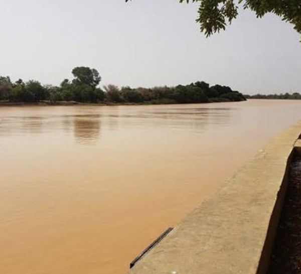 Situation hydrologique du fleuve Sénégal : Une hausse de 8 cm en 24 heures