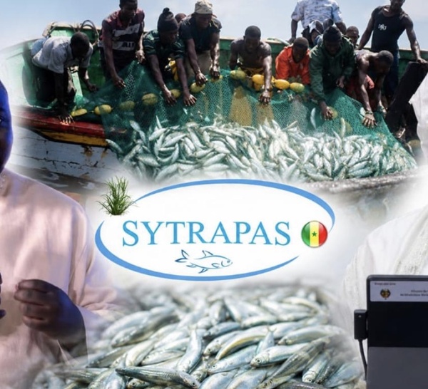 Pêche : Le SYTRAPAS salue les mesures sociales d’Amy Mara