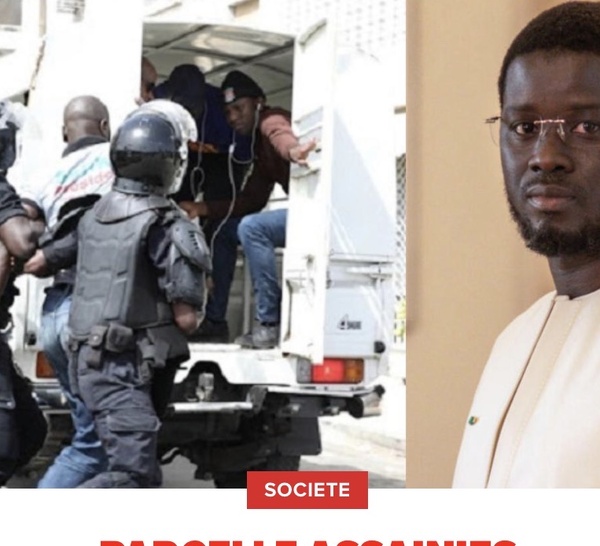 Parcelle Assainies : le militant de Pastef, la photo des parents de Diomaye Faye et le...
