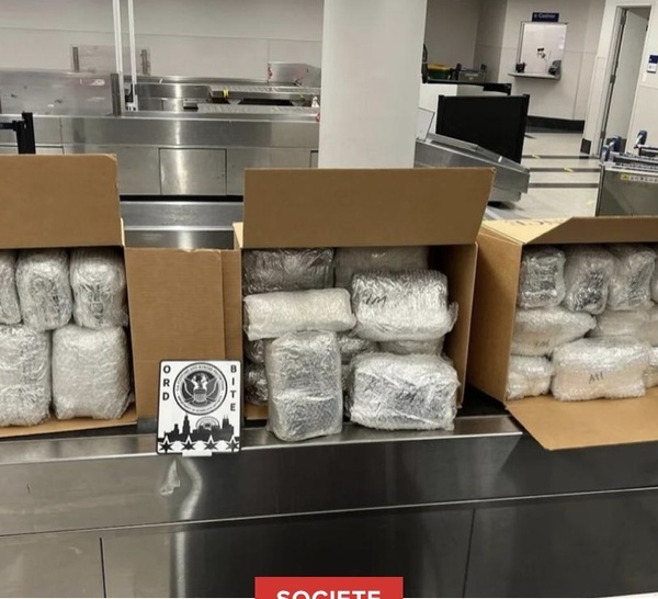 Aéroport de Chicago : Plus d'un demi-tonne de khat saisie sur trois passagers venus du Sénégal !