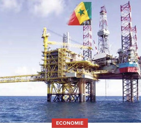 Chute spectaculaire des Ide au Sénégal : Deux causes du "mal" et les remèdes des autorités