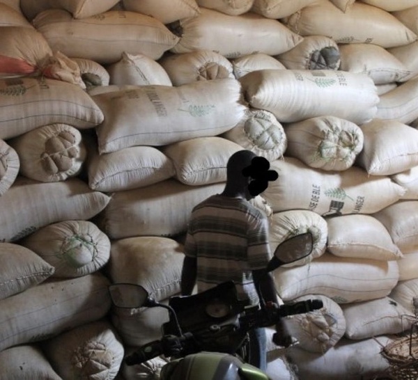 363 millions F CFA en denrées volés : la mafia est coincée à Touba Ndamatou, deux suspects cueillis en Guinée-Bissau