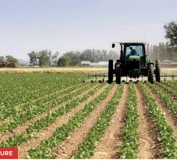 Kédougou : la campagne agricole 2026 sous la menace d’un déficit pluviométrique.
