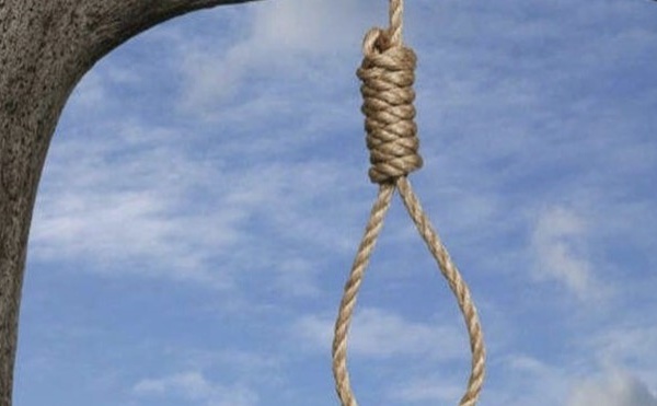 Kébémer : Une jeune femme de 20 ans retrouvée morte pendue à un arbre