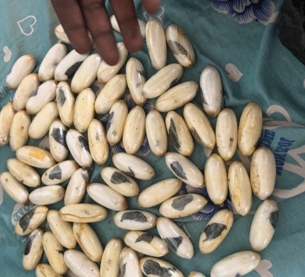 Kédougou : 1,5 kg de cocaïne saisis dans un bus de transport en commun