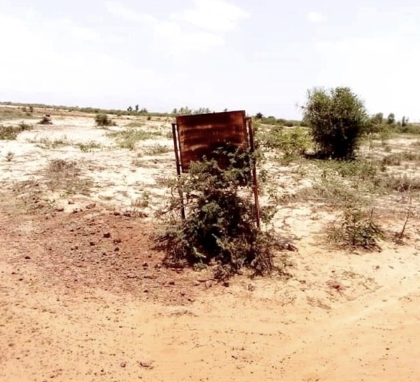 Mboula : Le maire refuse d'octroyer 100 hectares à une coopérative agricole dirigée par un responsable de Pastef