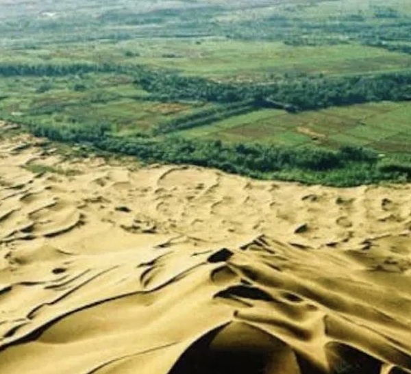 Grande muraille verte : La Mauritanie et le Mali bons élèves, le Sénégal sur la liste des mauvais payeurs