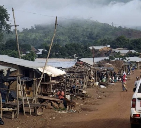 Guinée: enlèvement de la mère d'un opposant, selon sa famille