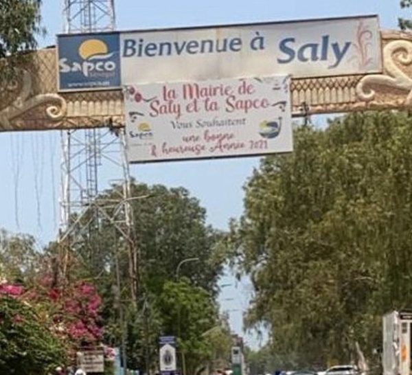 Saly, Ngaparou et La Somone : Les animaux errants mis en fourrière à partir du 31 octobre