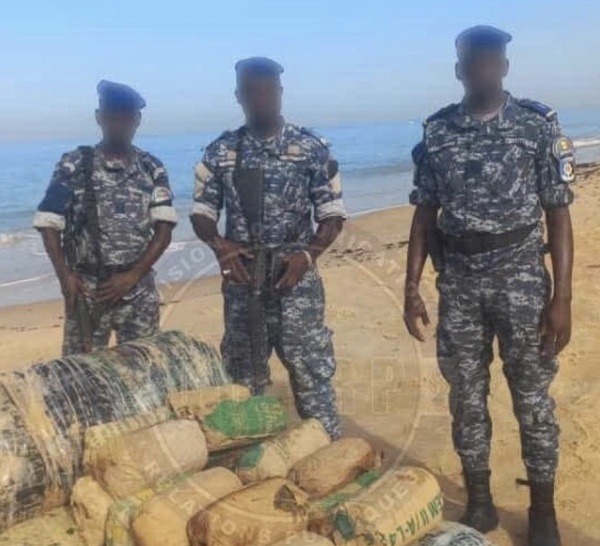 Nianing : 205 kg de chanvre indien saisis sur la plage