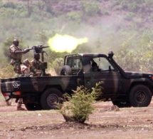 Cameroun: au moins 6 morts dans une attaque attribuée à Boko Haram