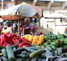 Castors : Les prix des légumes flambent