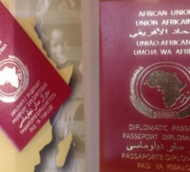 Le passeport africain, projet d'avant garde ? - Par Djiby Ndiaye Gaynde