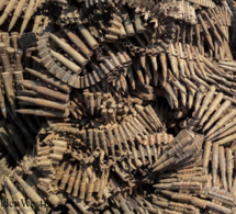 Affaire des munitions saisies au Mali: La Minusma apporte ses «clarifications»…