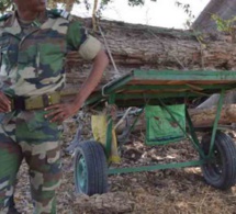 Abdoulaye Baldé sur l'arrestation des 3 agents des Eaux et Forêts arrêtés en Gambie : "Nous traquerons les délinquants n'importe où ils seront"