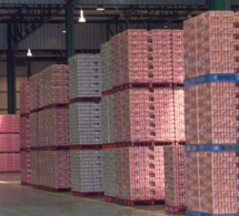 Parmi les ingrédients secrets du Coca Cola, de la cocaïne ?