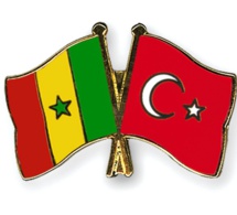 Coopération: La Turquie au chevet des malades et des populations démunies