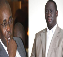 Affaire Petro-Tim : C'est Samuel Sarr qui a présenté Aliou Sall à Franck Timis