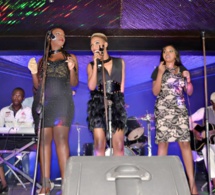 Live à Alkimia, le trio du groupe Safari casse la baraque.Regardez