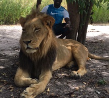 Le patron de "Albourakh" Baye Ndiaye en mode chasseur dans le parc sur la route de Passy.