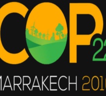 COP22 de Marrakech : 250.000 villages africains seront prémunis contre les changements climatiques