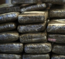 Kolda : la Police intercepte 117 kg de chanvre indien