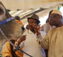 Licences d’importation d’hydrocarbure à ITOC: Le journaliste Cheikh Mbacké Guissé persiste et signe