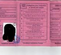 Sénégal: Le permis à points sera mis en œuvre avant 2018 (ministre)