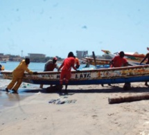 Départ de 3.000 pécheurs sénégalais de la Mauritanie: Le secteur de la pêche paralysé à Nouakchott
