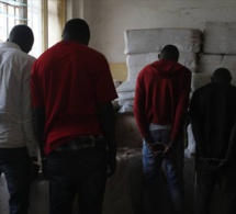 Série de vols à Dakar, Thiès, Bambey et Saint-Louis: le gang dérobe 200 millions de FCFA blanchis dans le foncier, le transport…