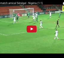 Vidéo – Nigéria 1-1 Sénégal : Regardez le superbe but de Moussa Sow