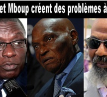 Crise au Parti démocratique sénégalais: A qui profite le chaos?