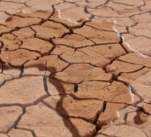 L'Afrique compte 145 000 millionnaires