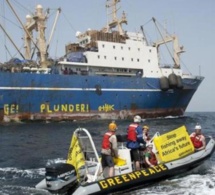 Pêche illicite en Afrique de l’Ouest : Greenpeace immobilise 11 bateaux