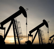 Polémique autour du pétrole, gare à la malédiction