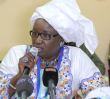 Elène Tine : « L’Assemblée nationale sous la 12e Législature a été vassalisée et la responsabilité de Moustapha Niasse est engagée »