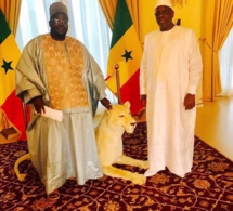 Médina Baye: Le RP de Cheikh Mansour Niass rafle la mise, confortant la victoire de Bby…