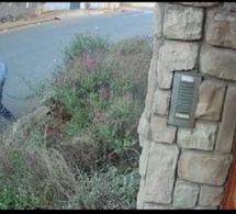 Afrique du Sud: La défense d’une étudiante attaquée par des bandits enflamme la toile…vidéo
