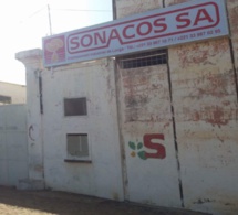 Privatisation de la Sonacos : les producteurs du Bassin arachidier mettent en garde l’Etat