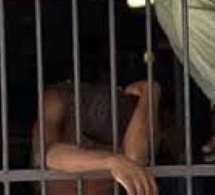 Golf Sud: Banda Dabo de la bande à Alex-Ino, arrêté au terme d’une fusillade avec la police