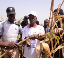 Cheikh Amar en route vers Khelcome ce vendredi .