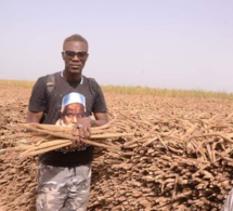 (Vidéo) Bagarre à Khelcom : Tange Tandian répond à Assane Diouf « Dieugeulna… »