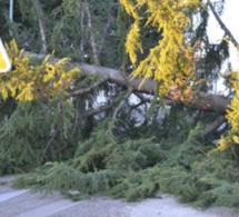 Thiès : un vent violent fait d’importants dégâts à Fandène