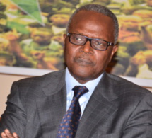 Crise à la Maison Léopold Sédar Senghor : La coordination du Ps de France pilonne Ousmane Tanor Dieng