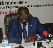 "L’agriculture sénégalaise est en train de progresser", selon le ministre de l’Agriculture Papa Abdoulaye Seck