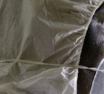 Escroquerie: le pharmacien biologiste risque deux ans d’emprisonnement, dont six mois ferme et une amende de 100 mille francs Cfa