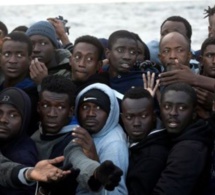 Trafic de migrants en Libye : Les frères Dia tombent à Kayar